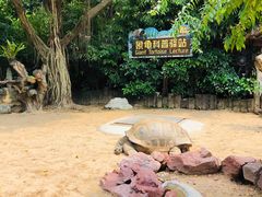 -广州长隆飞鸟乐园