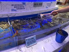 -澜悦港海鲜体验主题餐厅