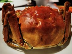 -蟹榭·本帮江浙菜·蟹宴(五角场合生汇商场店)