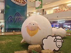 -阳光天地