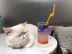 -Heymao猫咖.咖啡厅(东门店)