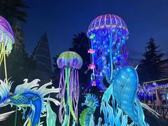 -海合安武汉极地海洋公园