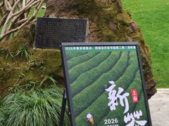 -中国茶叶博物馆(双峰馆区)
