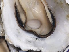 -蚝得喜海鲜(东城店)