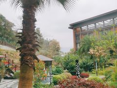 -汇雅温泉