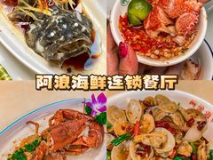 -亚龙湾热带天堂森林公园