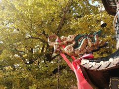 -遵化市禅林寺古银杏风景园