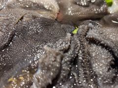 -宽田火锅(几江荣华店)