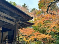 -三千院