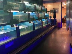 水产区-王家渡火锅店(棕榈泉店)