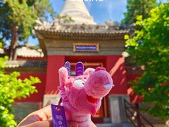 -妙应寺白塔
