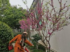 -苏州图书馆(人民路总馆)
