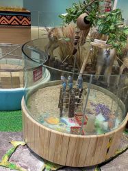 -卡通尼·Safari非洲探索乐园·生日会(金桥国际商业广场店)