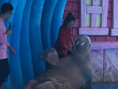 -华夏文旅海洋公园