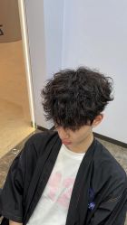 -YESIDO椰岛造型