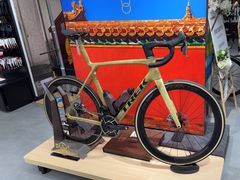 -TREK崔克自行车(碧云店)