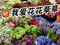 -双季花艺园艺市场(浦东店)