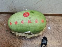 -新疆巴州金丝特餐厅(大钟寺店)