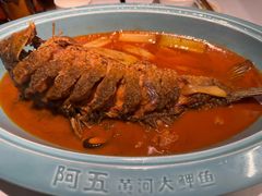 -阿五黄河大鲤鱼(英协路店)