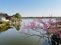 -上海海湾国家森林公园