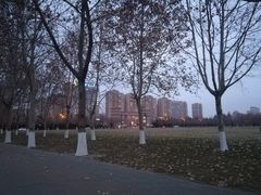 -山东理工大学