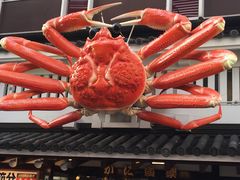 -蟹道乐(道顿堀本店)