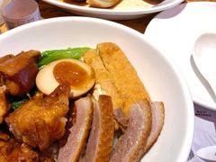 金奖卤鹅肉饭-陈鹏鹏潮汕菜(宝安机场T3航站楼店)