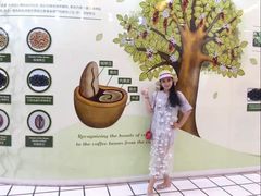 -巴厘岛黄金金兔咖啡工厂