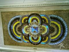 -上海昆虫博物馆