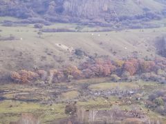 -御道口草原森林风景区