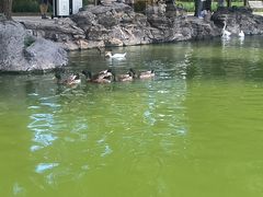 -团结湖公园
