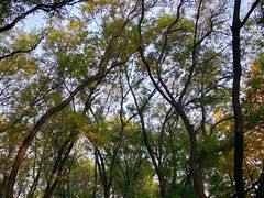 -玲珑塔公园