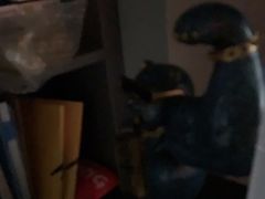 -大焱搏击·泰拳·拳击俱乐部(大柏树店)