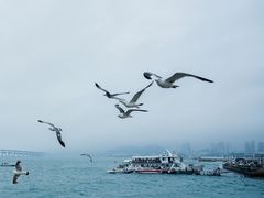 -星海广场