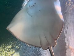 -太平洋海底世界