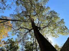 -北京上方山国家森林公园