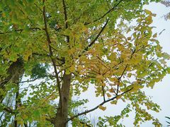 -白鹭湾湿地公园