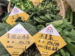 -大连湾旭日·家宴·海肠捞饭(马栏广场店)