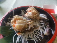 -渔娘渔家丹东海鲜(东直门店)