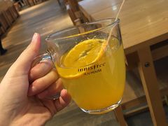 -雪绿茶博物馆