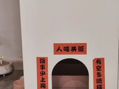 -楼上猫咖(罗湖店)