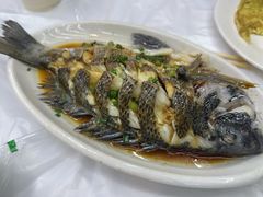 -阿军排档·烧烤