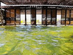 -春晖园度假酒店温泉