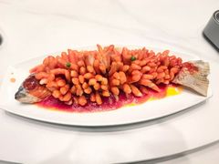 -刘胖子家常菜·蹄花焖藕(中央花园店)