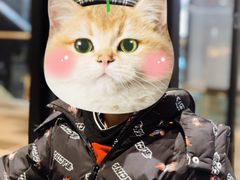 -大玩家(通州万达广场店)