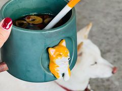 -柴犬高等学院·狗咖·柴犬售卖·宠物训练