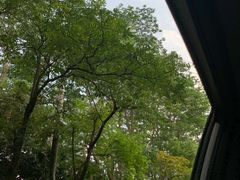 -清溪森林公园