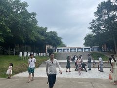 -广东惠东海龟国家级自然保护区