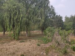 -东坝千亩湖公园
