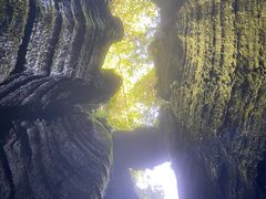 -梦幻奥陶纪景区